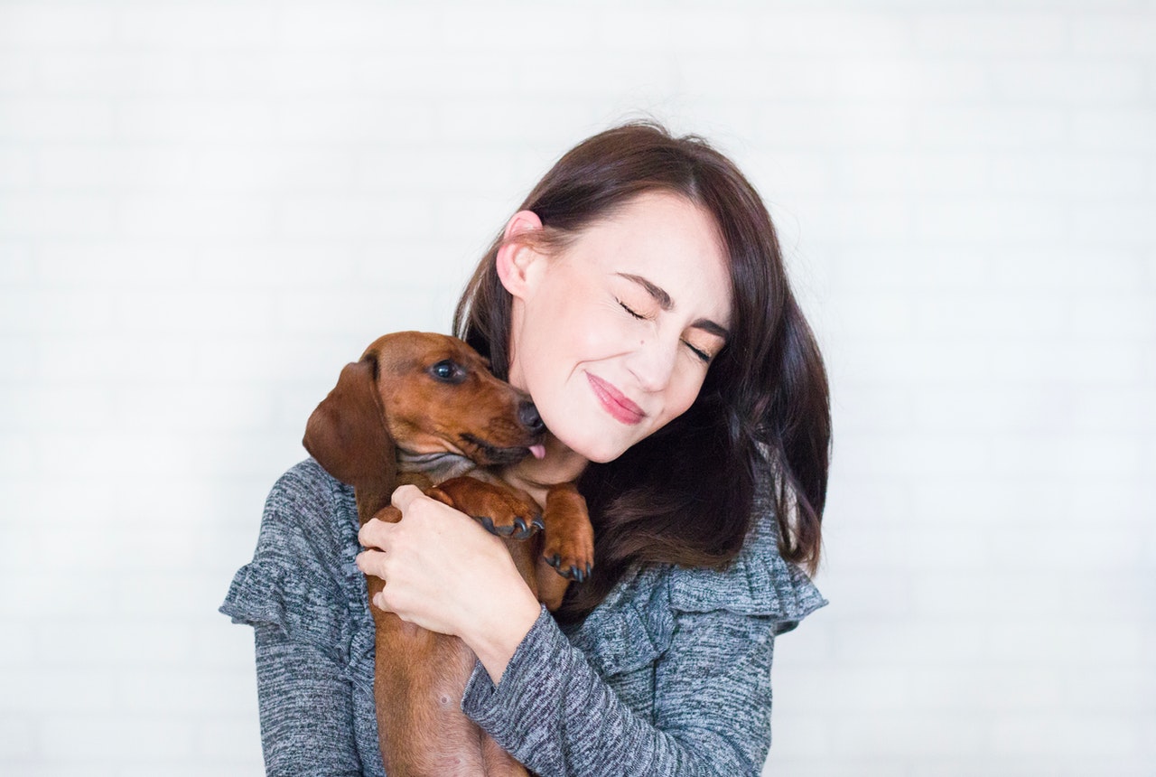 woman-in-grey-top-hugging-brown-dachshund-1139793.jpg