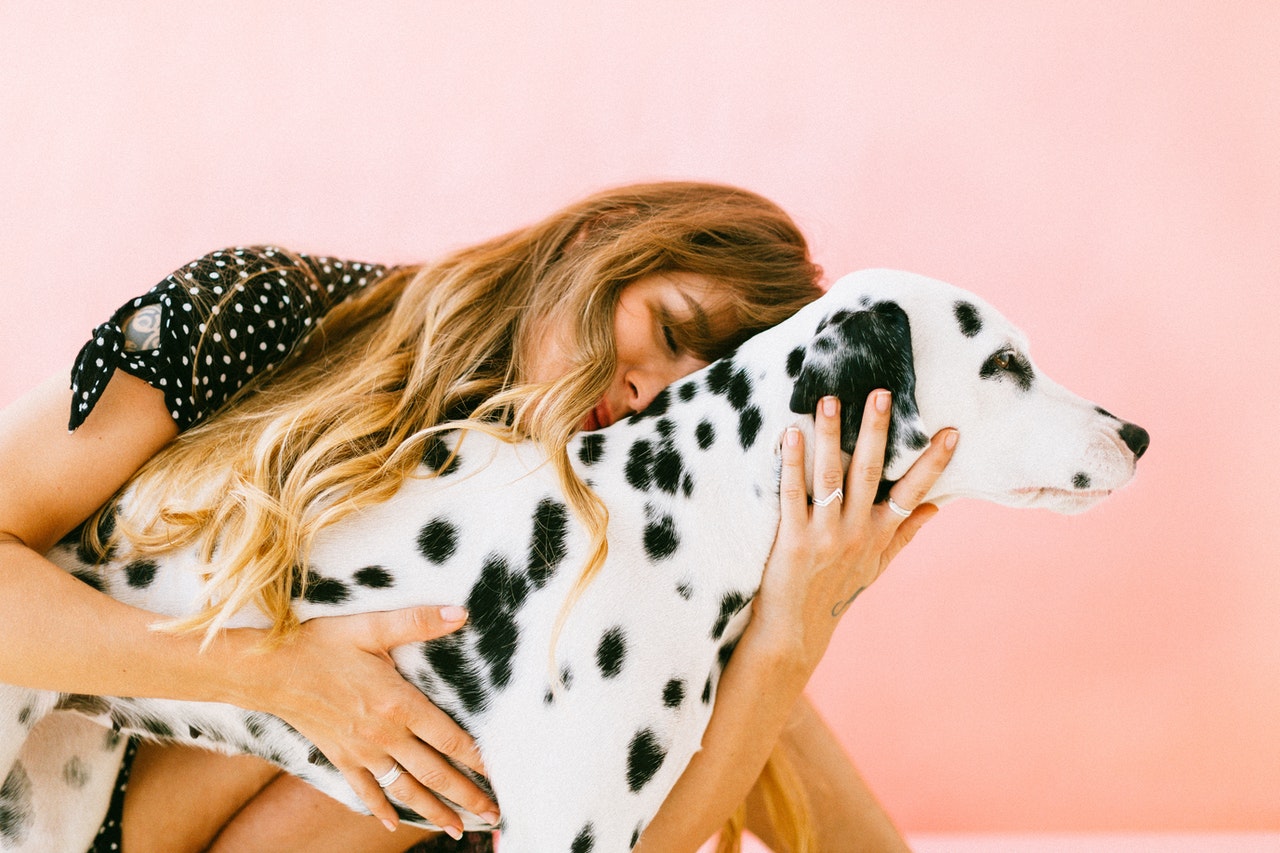 woman-hugging-adult-dalmatian-1766479.jpg