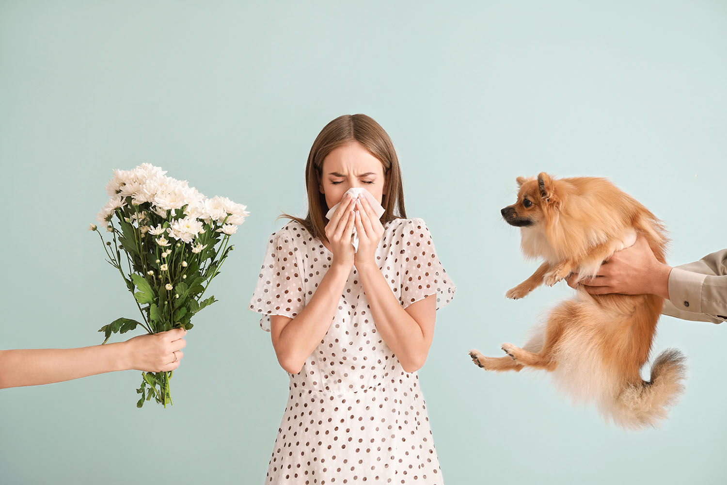 can-dog-hair-cause-eczema